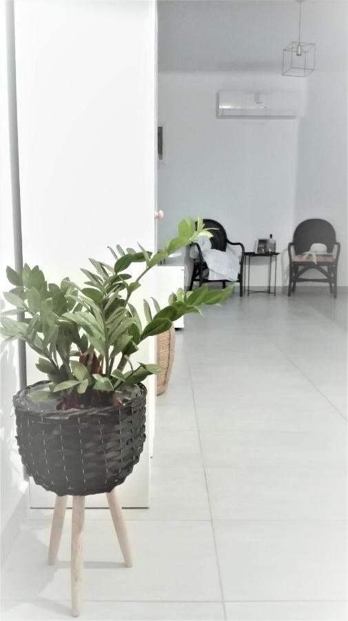 New Sea Escape Boutique Apt-Agii Aposto Li Beach Hanya Dış mekan fotoğraf