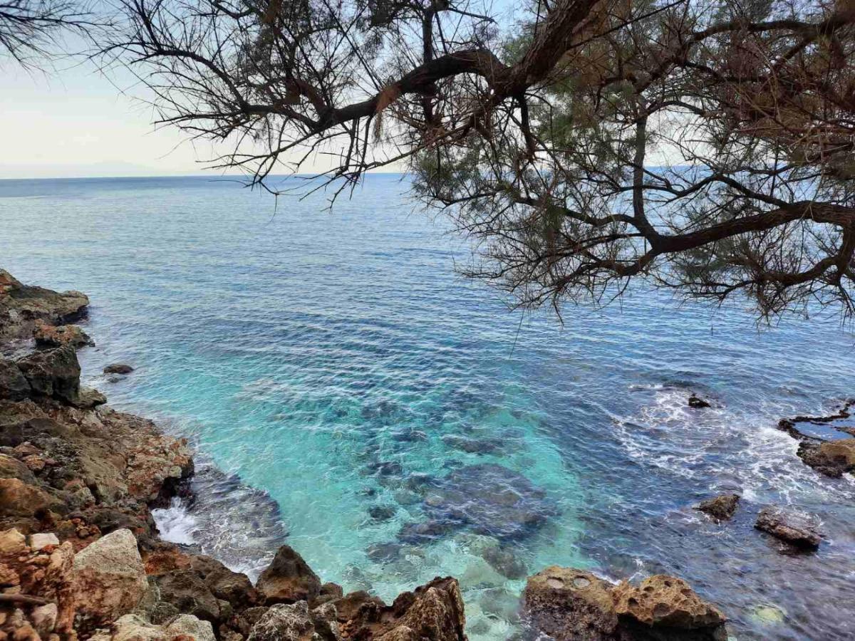 New Sea Escape Boutique Apt-Agii Aposto Li Beach Hanya Dış mekan fotoğraf