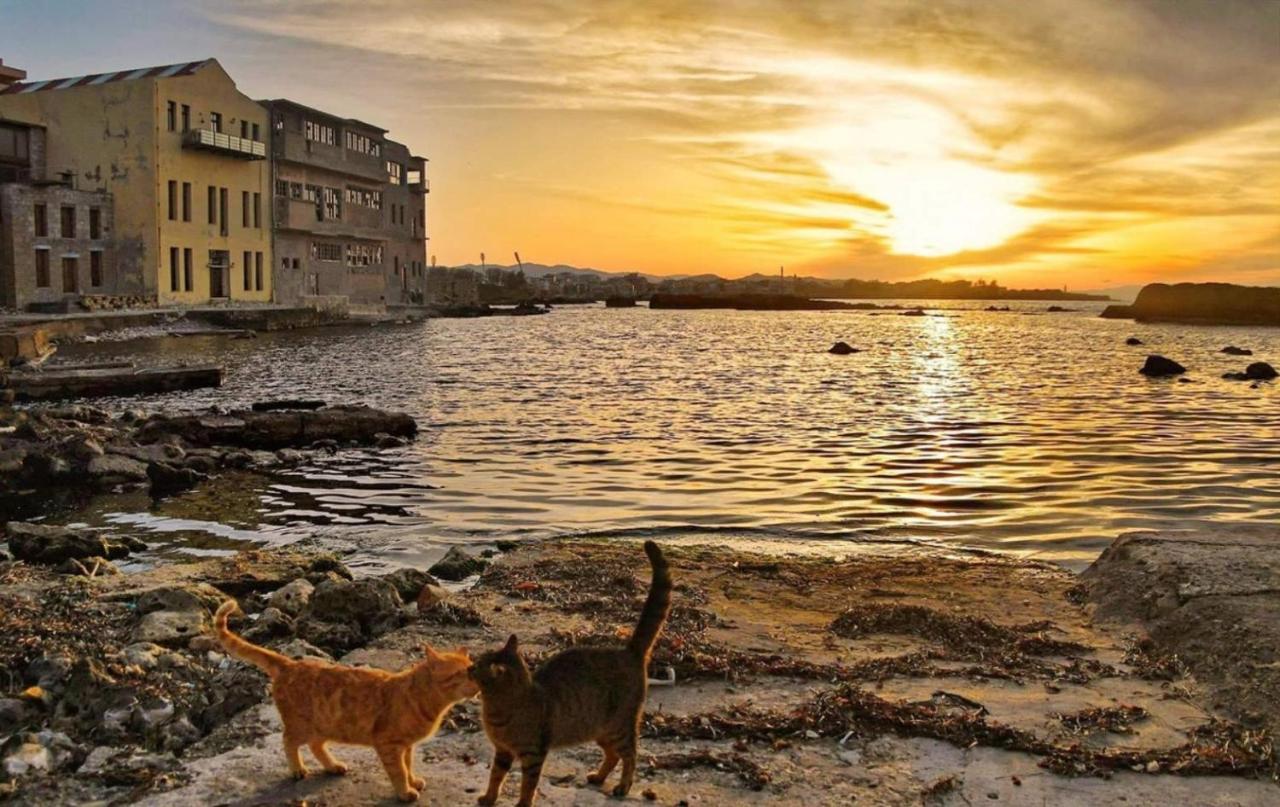 New Sea Escape Boutique Apt-Agii Aposto Li Beach Hanya Dış mekan fotoğraf