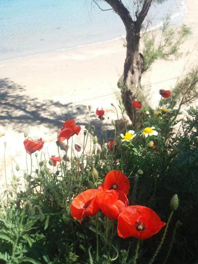 New Sea Escape Boutique Apt-Agii Aposto Li Beach Hanya Dış mekan fotoğraf
