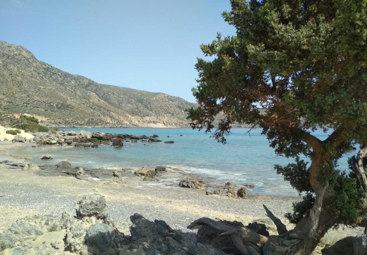 New Sea Escape Boutique Apt-Agii Aposto Li Beach Hanya Dış mekan fotoğraf